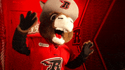Dance Mascot GIF by Rapid City Rush