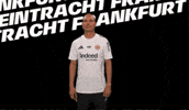 Bundesliga Vamos GIF by Eintracht Frankfurt