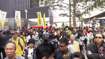 Hong Kong Protesters Scuffle With Police During New Year's Day Demonstration