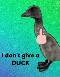 Duck GIF