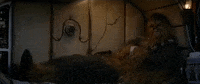 episode 7 GIF by Star Wars