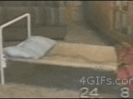 planes trains and automobiles GIF