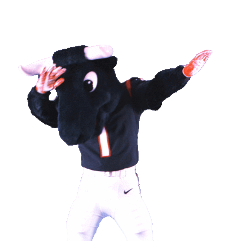Dance Dancing Sticker by Houston Texans