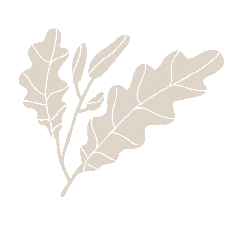 Illustration Grow Sticker