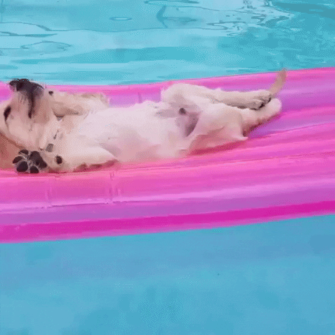 pool relaxing GIF