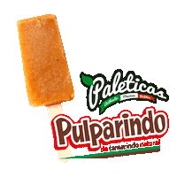 Paleta Sticker by Holistik