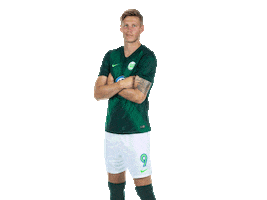 wout weghorst yes Sticker by VfL Wolfsburg