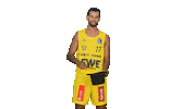 Ewe Baskets Sport Sticker by EWE Baskets Oldenburg