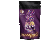 Italia Cbd Sticker by Hanfibio Cannabis Store