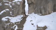 Rocky Mountains Snow GIF by Jan Metternich