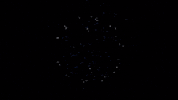 agenciavisualmidia junio38 agenciavm GIF