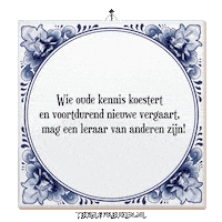 Coaching Nl Sticker by Tegelspreuken.nl