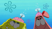 Episode 1 Whirly Brains GIF by SpongeBob SquarePants