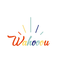 Fun Wow Sticker by Paris Aéroport