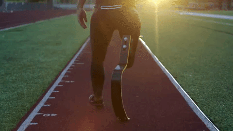 GIF by David