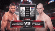 mma GIF