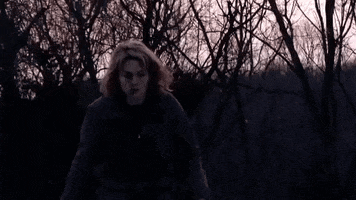 adam wingard horror GIF by Shudder
