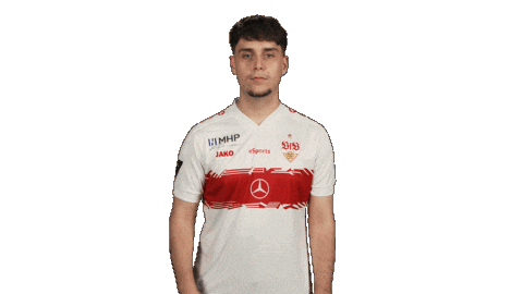 Vfb Stuttgart Football Sticker by Bundesliga