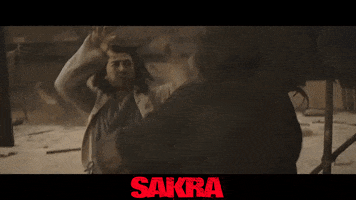 Martial Arts Fight Scene GIF by Signature Entertainment