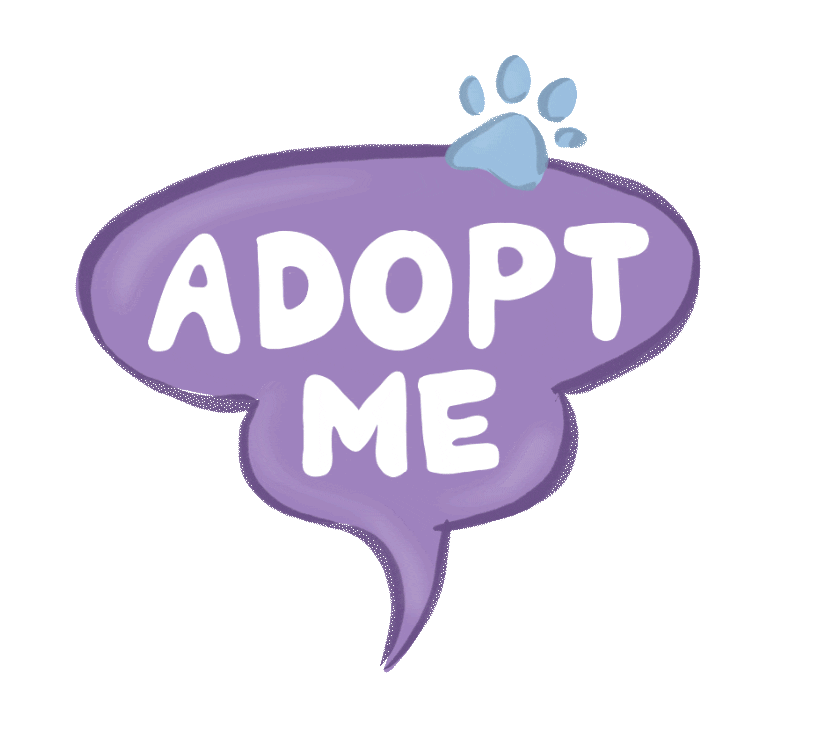 Cat Adopt Sticker