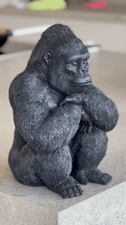 angiebonilla658093ecde414a79ae74fc2651897176 giphyupload GIF