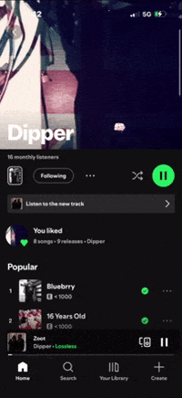 Spotify Stream GIF