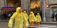 jimmy fallon lol GIF by The Tonight Show Starring Jimmy Fallon