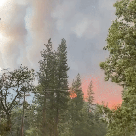 California Firefighters Continue Efforts to Contain Dixie Fire