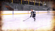 happy ice hockey GIF by Robert Morris University Athletics