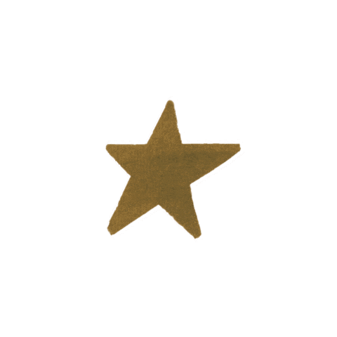 Christmas Star Sticker