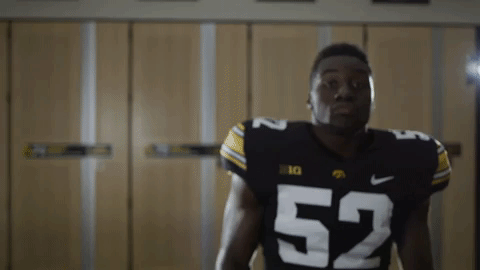 Iowa Hawkeyes Hawkeye GIF by University of Iowa Hawkeyes Athletics