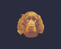 Hackettlondon GIF by Pepe Jeans London