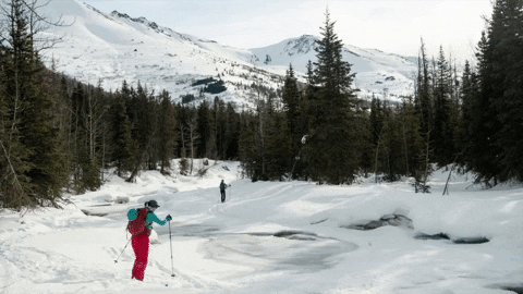 livetravelteach giphygifmaker winter adventure ski GIF