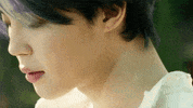 Park Jimin GIF by BTS 방탄소년단