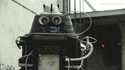 Short Film Hello GIF by Arrow Video