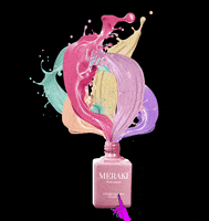 Merakiprofessional  GIF