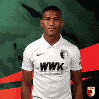 Football Bundesliga GIF by FC Augsburg 1907