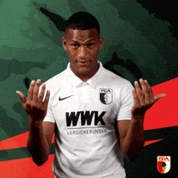 Football Bundesliga GIF by FC Augsburg 1907