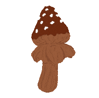 Autumn Forest Sticker