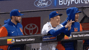 Happy Major League Baseball GIF by New York Mets
