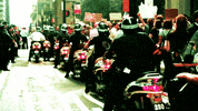 occupy wall street news GIF