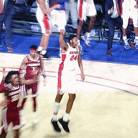 Ncaa Sports Reaction GIF by Florida Gators