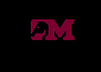 mreiscavalos cavalos GIF