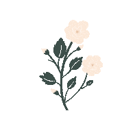 Rosa Flores Sticker by byflorecer
