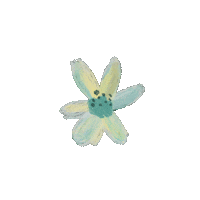 Flower Flores Sticker by byflorecer