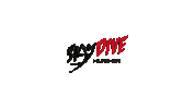 SkyDive-Hildesheim fun jump free dive Sticker