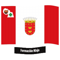 Santa Cruz De Tenerife Flag Sticker by Formación Ninja