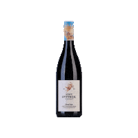 Wine Vino Sticker by Weingut Stadt Krems