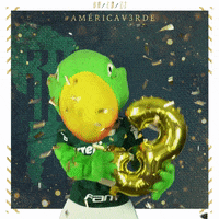 Soccer Futebol GIF by SE Palmeiras