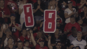 td place yes GIF by REDBLACKS